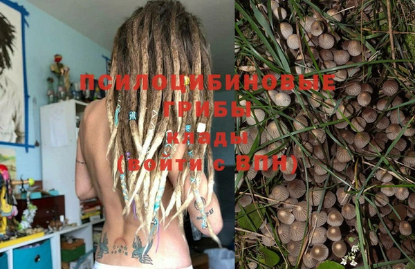 амф Алзамай
